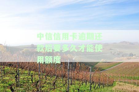 中信卡逾期后还款，能否继续使用？