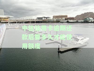 中信信用卡逾期还款后要多久才能使用额度-中信信用卡逾期还款后要多久才能使用额度