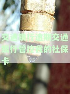 交通银行逾期封卡后还清能否解封及后续使用情况解析
