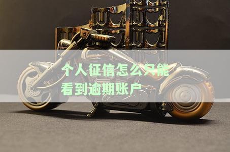 个人征信只显示逾期账户信息？报告是否包含逾期金额？