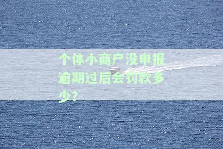 个体小商户没申报逾期过后会罚款多少？-个体小商户没申报逾期过后会罚款多少呢