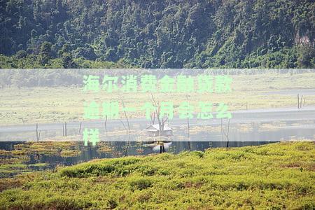 海尔消费金融逾期5个月会有什么后果，警惕！海尔消费金融逾期五个月的严重后果