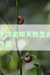 平均逾期天数怎么计算的，如何计算平均逾期天数？
