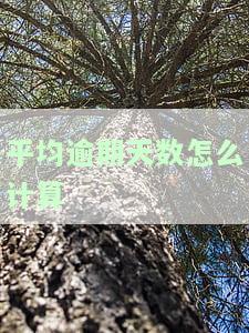 平均逾期天数怎么计算出来的，揭秘平均逾期天数的计算方法