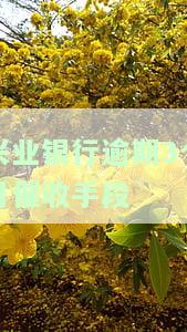 探究兴业银行逾期3个月催收手及影响