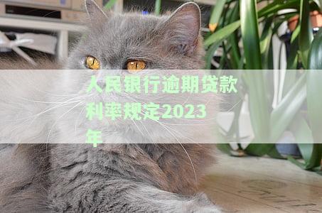 最新！人民银行2023年逾期贷款利率规定是多少？