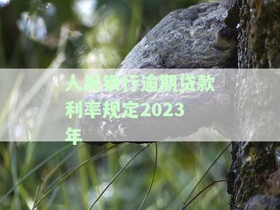 中国人民银行逾期贷款利息标准是多少？请看最新规定