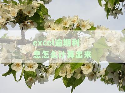 怎么用Excel算出逾期：计算逾期天数与金额的方法