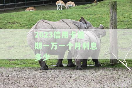 2023信用卡逾期一万一个月利息多少？计算方法与详细解释