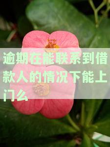 逾期了会不会找上门？无力还款最佳处理方法及律师协商选择建议