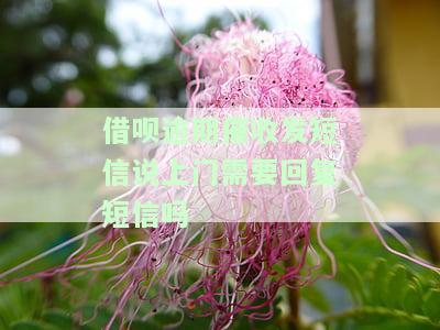 借呗逾期打电话说要上门调查怎么办，借呗逾期：接到了要上门调查的电话，该怎么办？