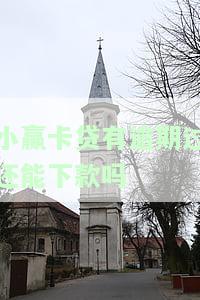 小赢卡贷逾期是否会影响现有信用卡？安全性如何？