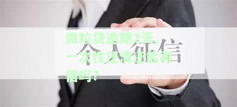 微粒贷逾期2天、一次性还清还能再借吗？安全性如何？