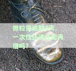 微粒贷逾期两天还清后，还能再次借款吗？