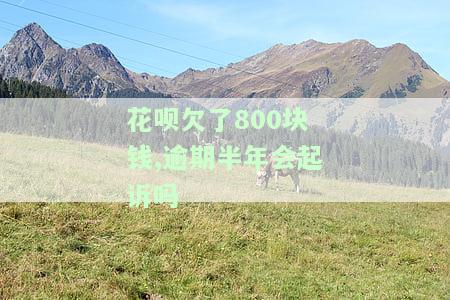花呗欠了800块钱,逾期半年会起诉吗知乎，逾期半年未还800元花呗，会被起诉吗？——知乎上的讨论