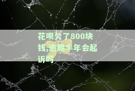 花呗欠800逾期半年后果严重，该怎么办？