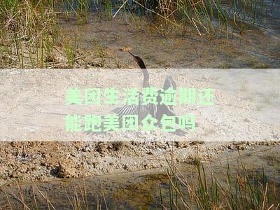 欠着美团生活费逾期能去跑美团众包拿，欠美团生活费逾期，是否还能继续参与美团众包业务？