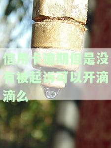 信用卡逾期但是没有被起诉可以开滴滴么，信用卡逾期未被起诉，是否能继续使用滴滴打车？