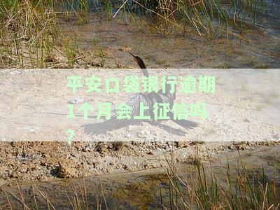 平安口袋银行逾期1个月会上征信吗知乎，平安口袋银行：逾期一个月是否会影响个人征信？——知乎用户疑问解答