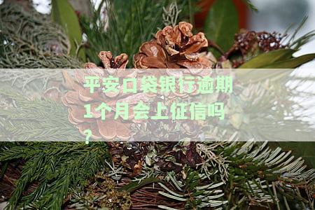 平安口袋银行逾期1个月会上征信吗，平安口袋银行：逾期1个月是否会影响您的征信记录？