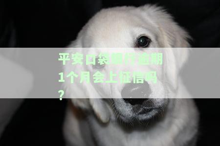 平安口袋银行逾期两天：有何影响？能否继续使用？