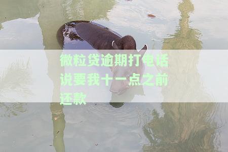 微粒贷催收电话叫我六点前还款，否则全额还清，应如何应对？