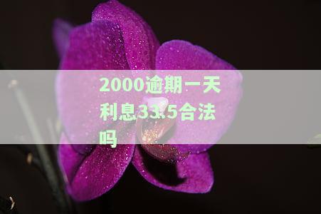两千块逾期一天利息多少？求解答！