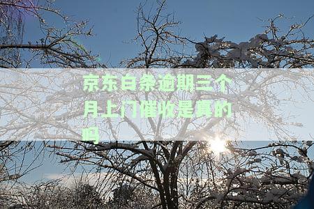 逾期3000多会否被上门催收？真的吗？