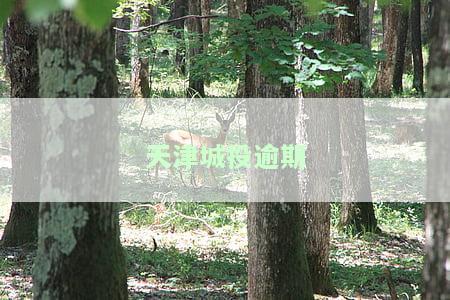 天津城投逾期案件，天津城投逾期案件引发关注，投资者权益待保障