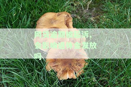 网贷逾期被起诉，会影响退休金发放吗？如何处理？