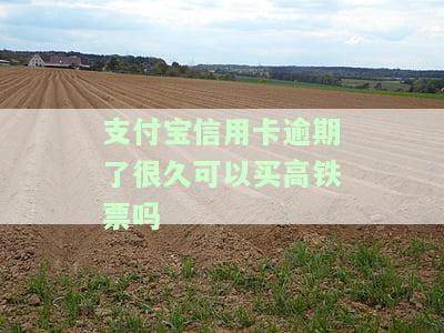 支付宝信用卡逾期很久还能买高铁票吗？安全吗？
