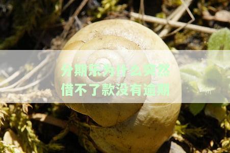 分期乐为什么借不出钱来，探究分期乐无法借款的原因