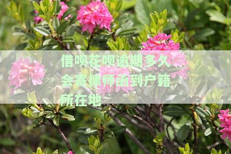 借呗花呗逾期收到律师函几天不回复就上告法院，律师函催收无果，借呗、花呗逾期恐遭法院起诉