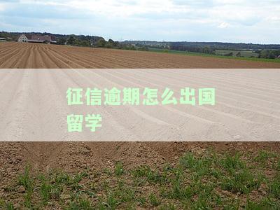 征信逾期是否影响出国工作？