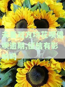夫妻双方均花呗借呗逾期，征信受影响？解决方案！