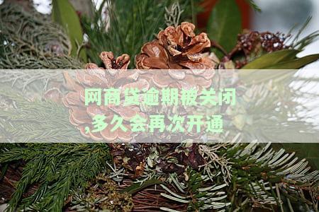 网商贷逾期被关闭,多久会再次开通
