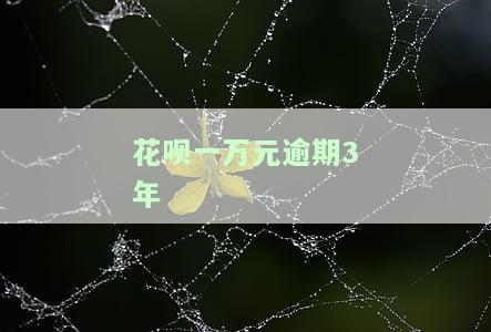 花呗一万元逾期3年-花呗逾期1万多2年了要起诉我怎么办