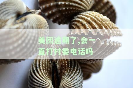 美团逾期8000，真会联系村委领导吗？逾期两个月，村书记会被找吗？