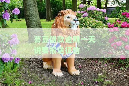 芸豆借款24小时未放款，急需资金？芸豆借款24小时内未放款，解决方案在此！
