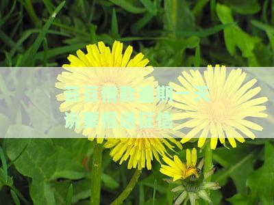 芸豆借款有宽限期吗，芸豆借款：了解宽限期政策，避免逾期罚款