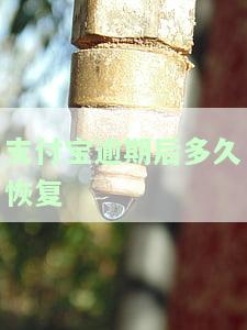 支付宝逾期后多久恢复征信记录，如何修复支付宝逾期对征信的影响？