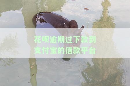 花呗逾期过下款到支付宝的借款平台怎么办，如何处理花呗逾期后在支付宝借款平台的借款问题？