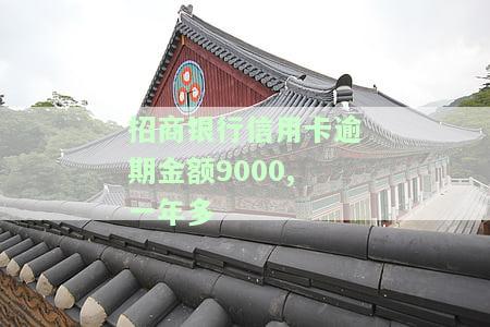 招商银行信用卡逾期金额9000,一年多-招商银行信用卡逾期金额9000,一年多少钱