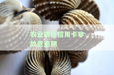农业银行非恶意逾期可以打客服不上征信吗，解答疑惑：农业银行非恶意逾期能否通过客服避免上征信？
