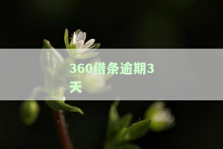 逾期3天还款,会影响下次借款吗，逾期3天还款，会对下次借款产生影响吗？