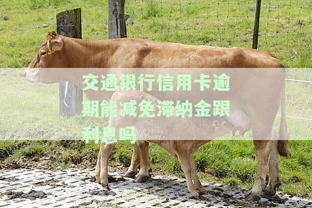 在交通银行信用卡逾期后能否分期还款？能协商还本金吗？