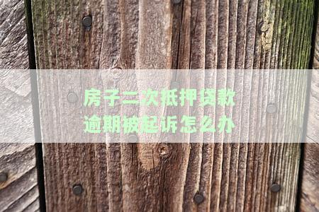 房子二次抵押贷款逾期被起诉怎么办理，房子二次抵押贷款逾期被起诉：如何应对？