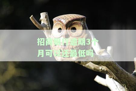 招商银行逾期3个月可以还最低吗-招商银行逾期三个月还清了还可以再用吗