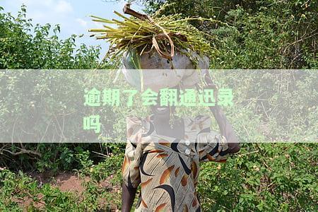 逾期会爆通讯录里的所有人吗？如何防止网贷拨打我的联系人电话