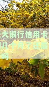 光大银行信用卡逾期几个月了还最低行吗-光大银行信用卡 逾期